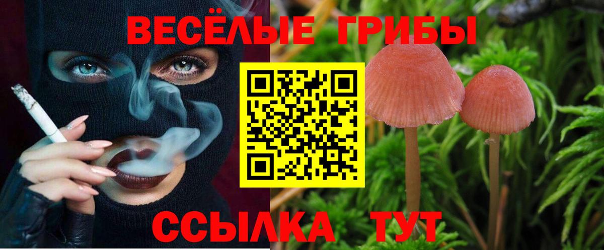  КОКАИН Нефтекумск
